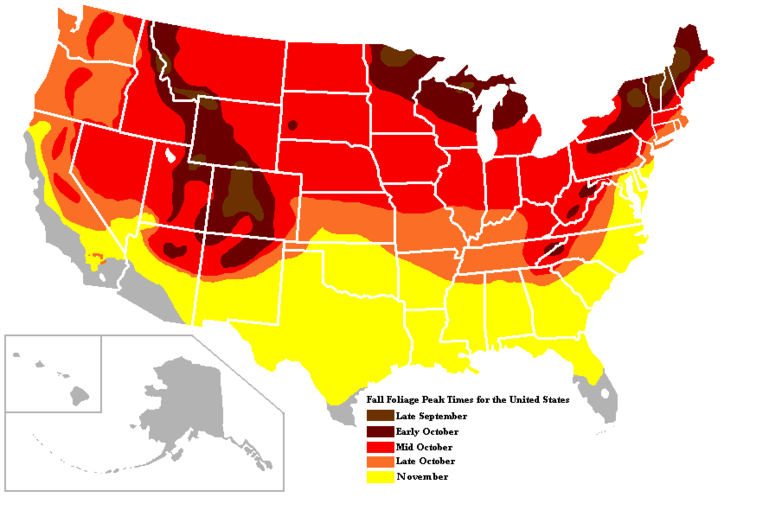 Why Do Deciduous Leaves Change Color In the Fall?